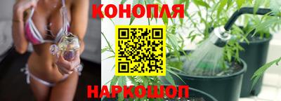 индика Краснознаменск