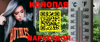 эйфоретик Краснодар
