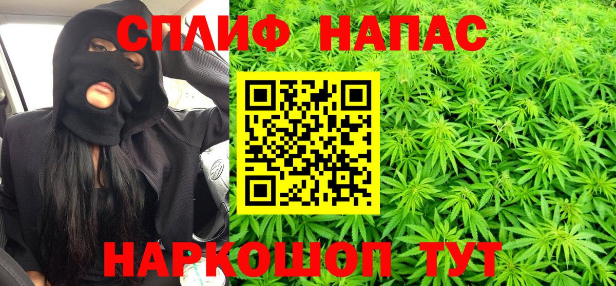 Конопля OG Kush Черногорск