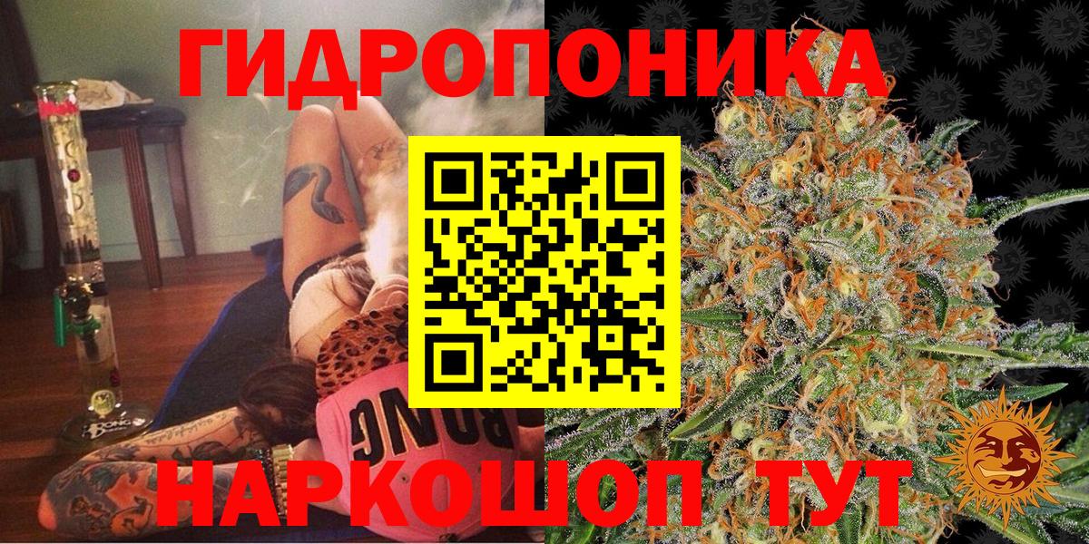 Черногорск  Марихуана White Widow  Вход с VPN  Бошки марихуана OG Kush  Конопля конопля 